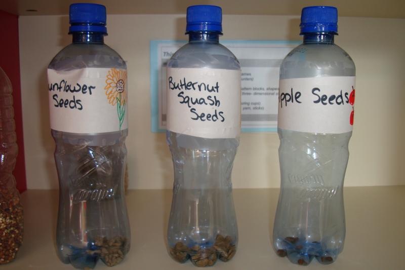 photo of: Comparison of Seeds: Science for PreK + K Sharing
