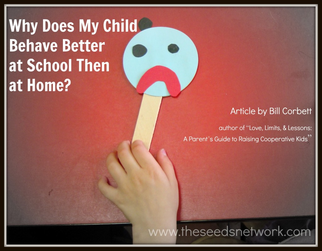 Why Does My Child Behave Better at School Than at Home? The SEEDS Network