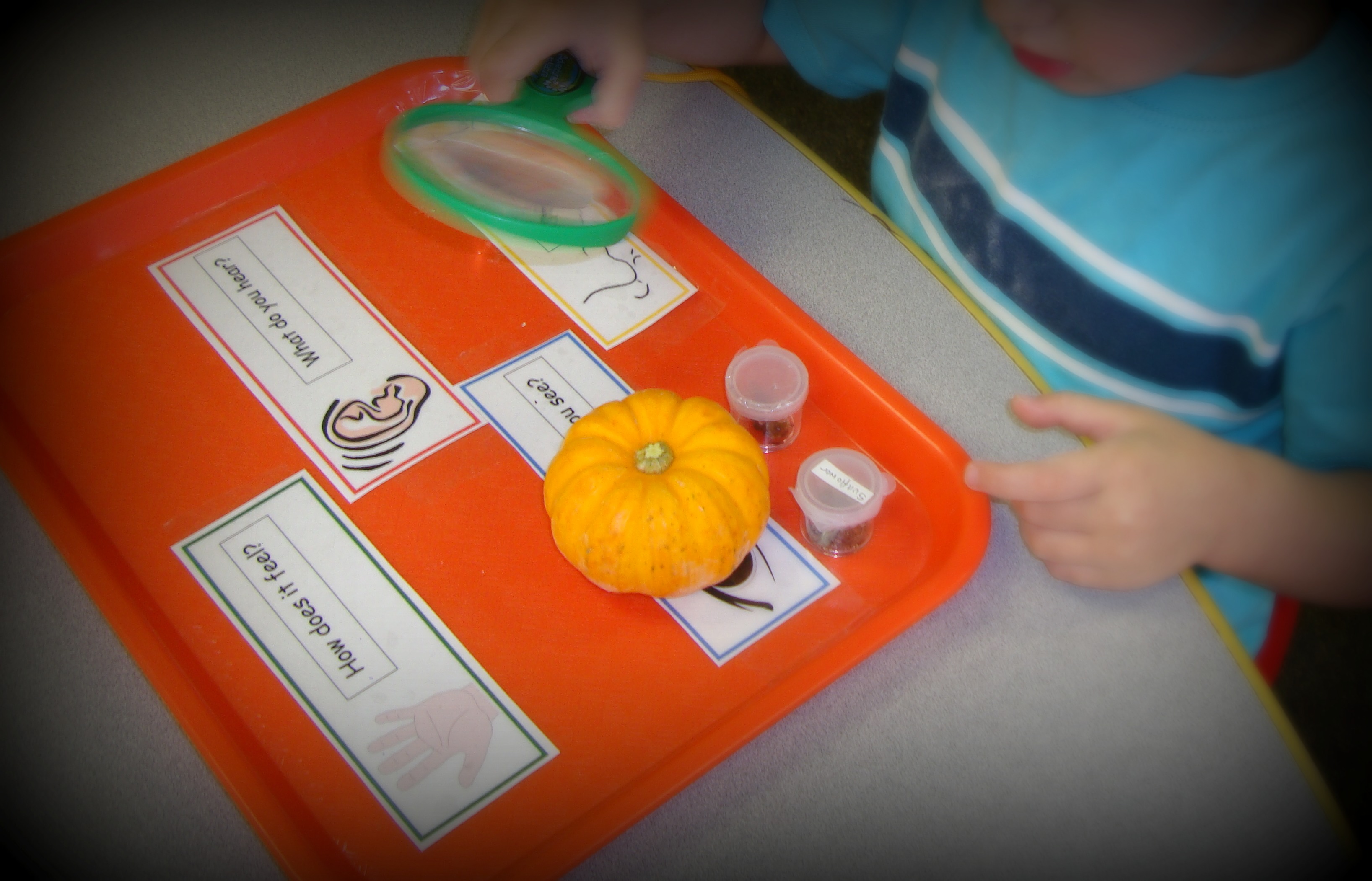 pumpkinkid - Pumpkin Activities For Kindergarten